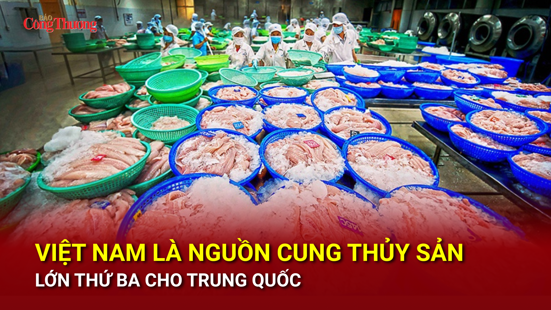 Việt Nam là nguồn cung thủy sản lớn thứ ba cho Trung Quốc
