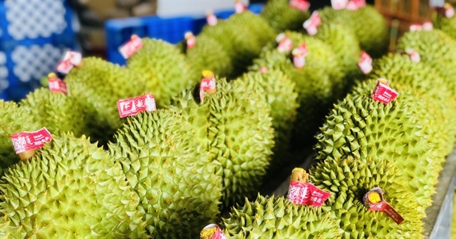 Thị phần sầu riêng Việt Nam tại Trung Quốc vọt lên gần 50%