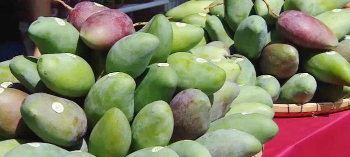 Xoài Việt Nam chiếm ưu thế tại thị trường Trung Quốc