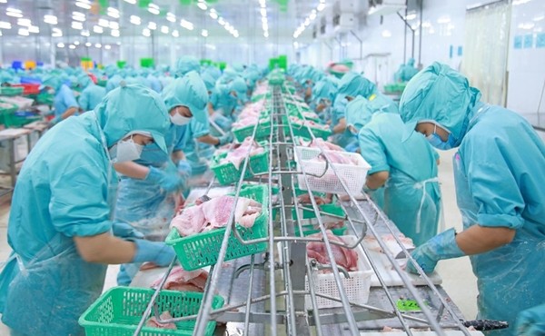 Ngành thủy sản đặt mục tiêu xuất khẩu 11,5 tỷ USD năm 2026