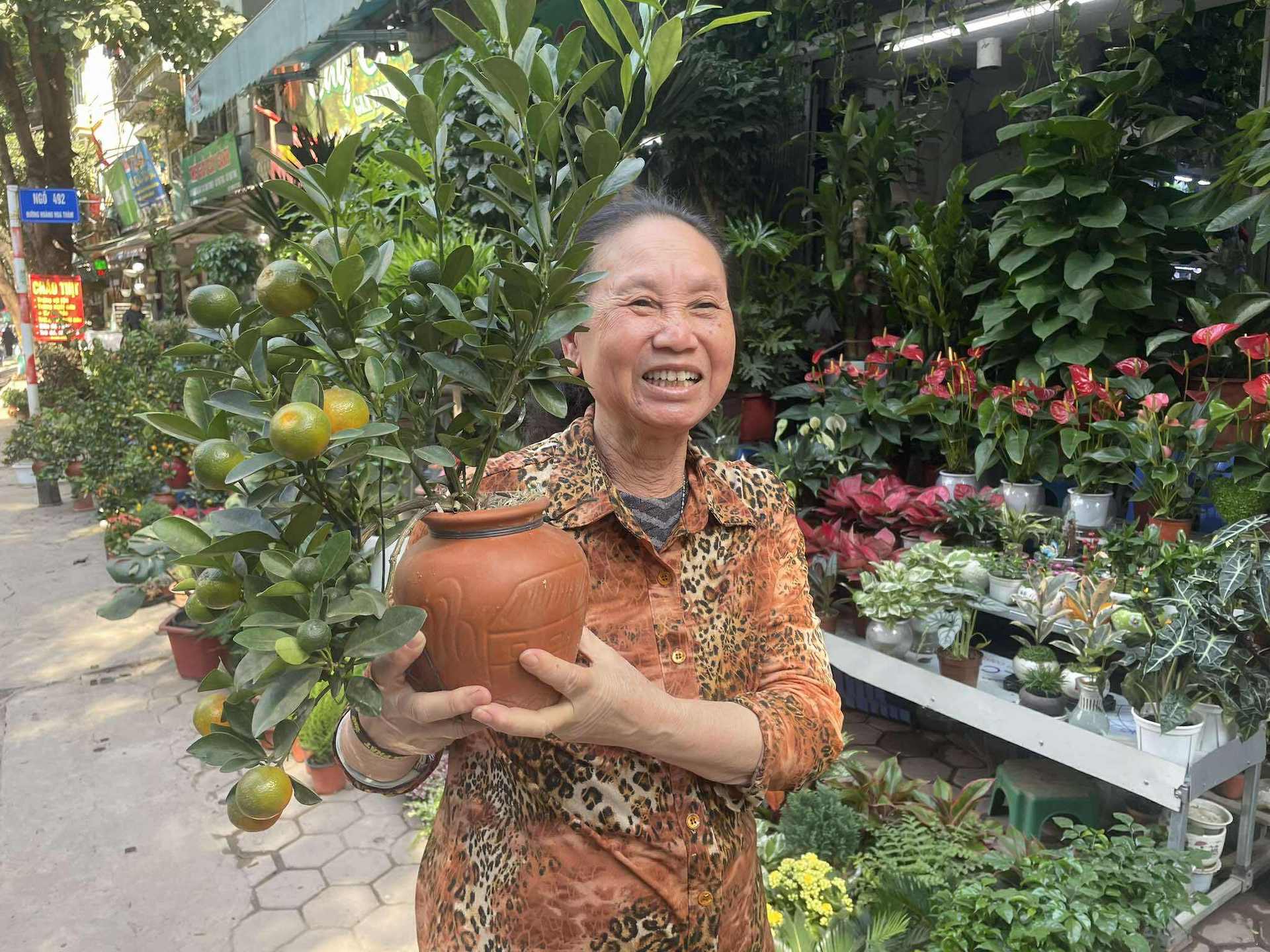 Quất cảnh sẵn sàng 'lên phố', nhà vườn tất bật đón khách 