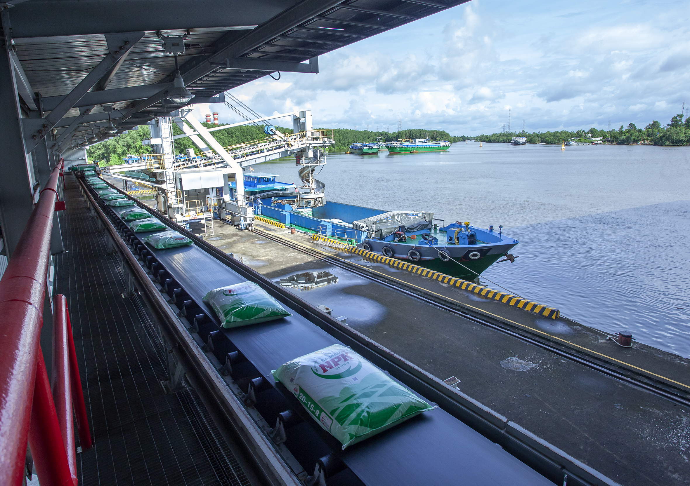 Phân bón Cà Mau 2025: Vượt 'gió ngược' nhờ năng lực nội sinh