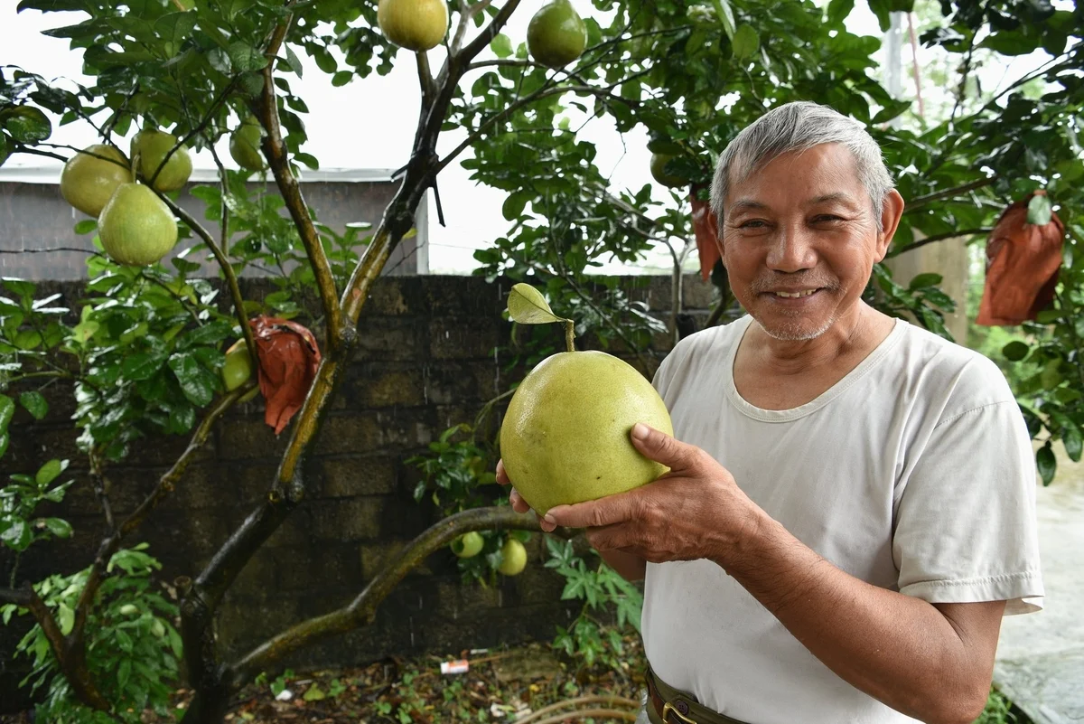 Khi nông sản trở thành cầu nối gắn kết gia đình