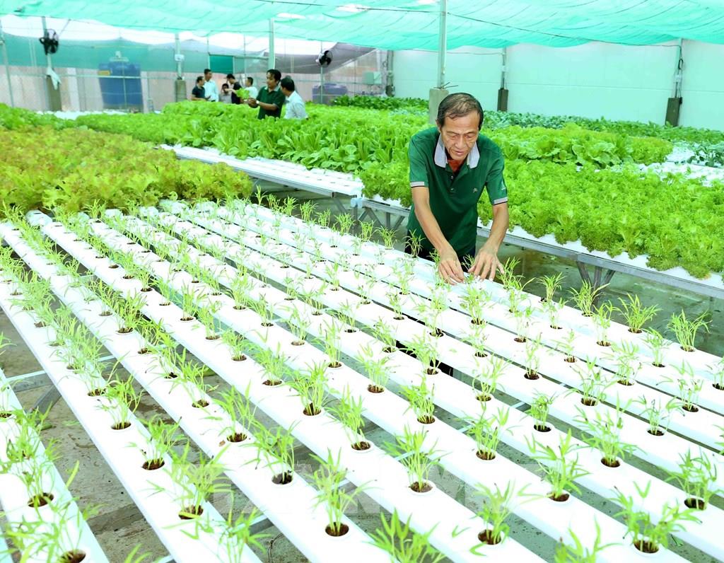 Trợ lực tài chính xanh cho doanh nghiệp nhỏ và vừa trong kỷ nguyên số