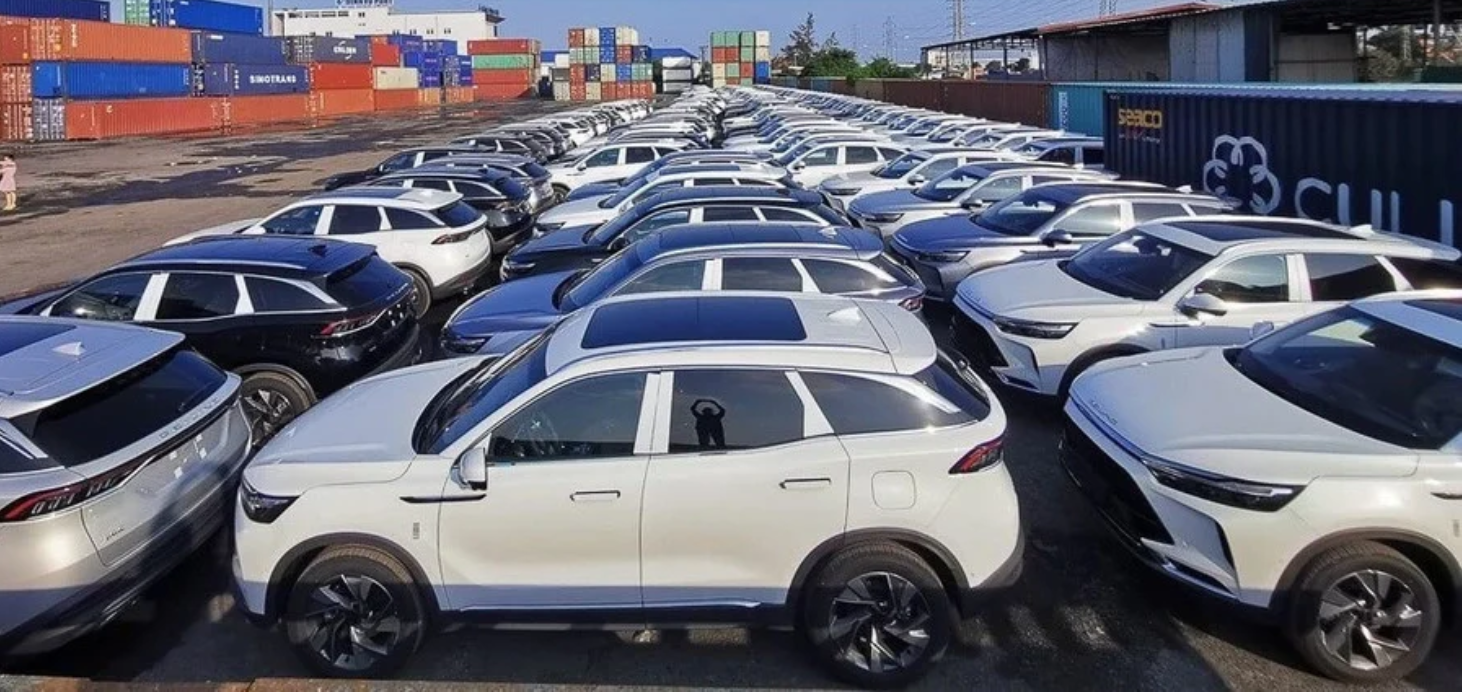 Infographic | Nửa đầu tháng 1/2026, nhập khẩu ô tô của Việt Nam tăng