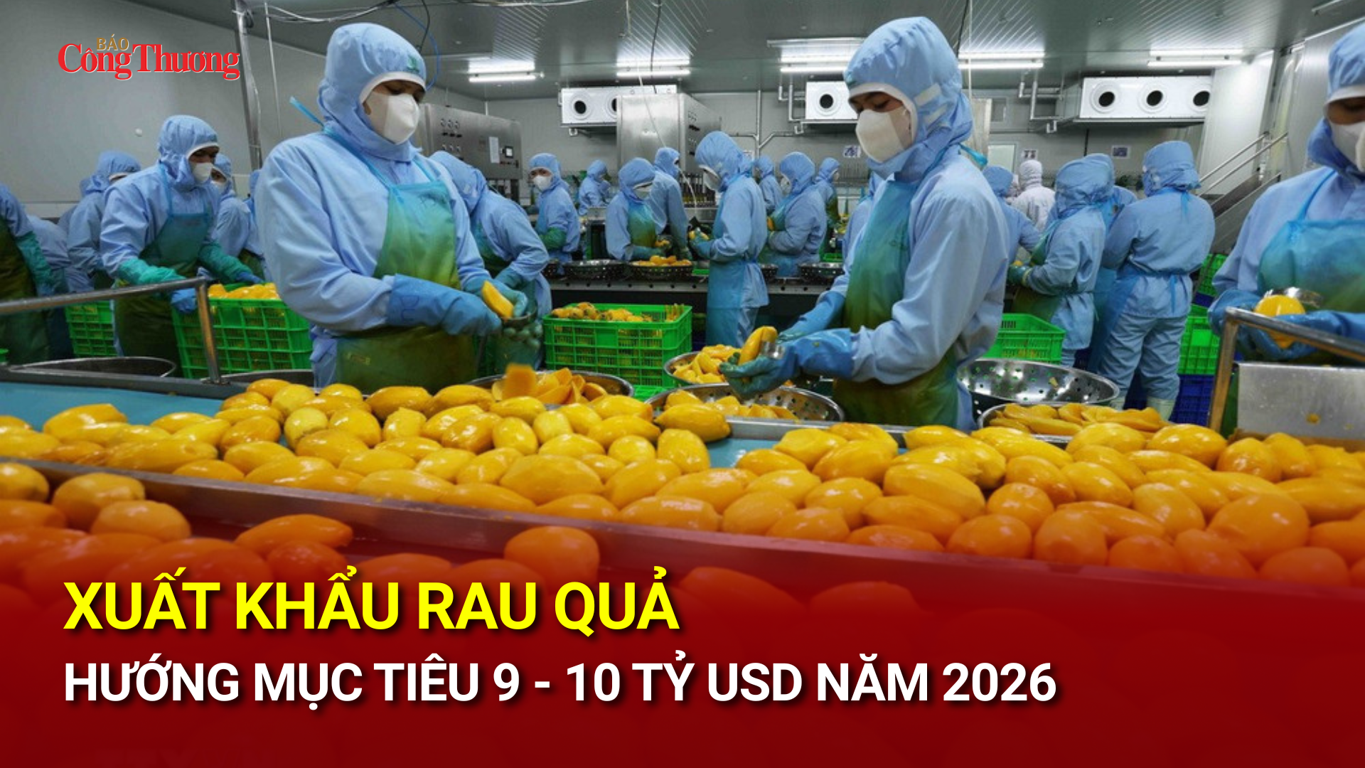 Xuất khẩu rau quả hướng mục tiêu 9 - 10 tỷ USD năm 2026