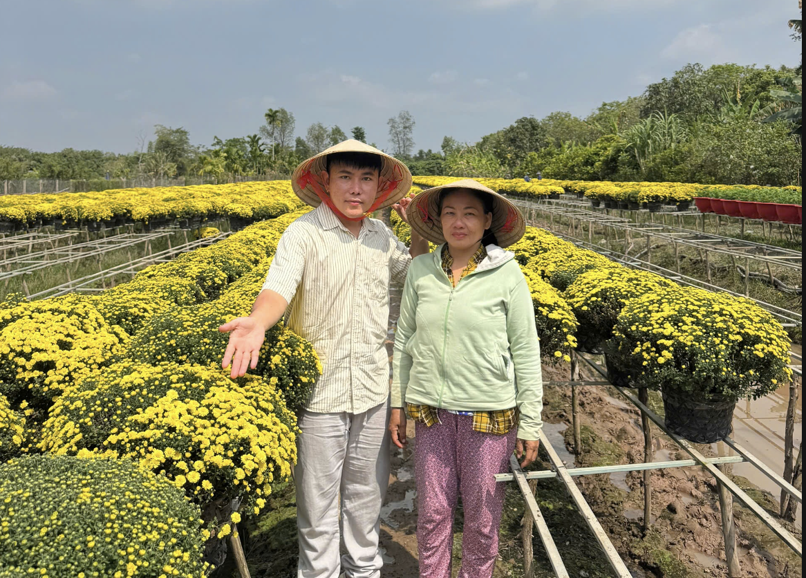 TikToker Thiện Nhân livestream 4 giờ, tiêu thụ 1.600 chậu cúc mâm xôi