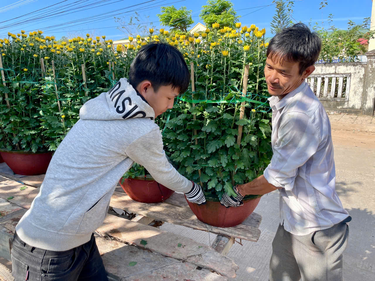 Giá cả năm nay nhỉnh hơn mọi năm nên nông dân trồng hoa rất phấn khởi.