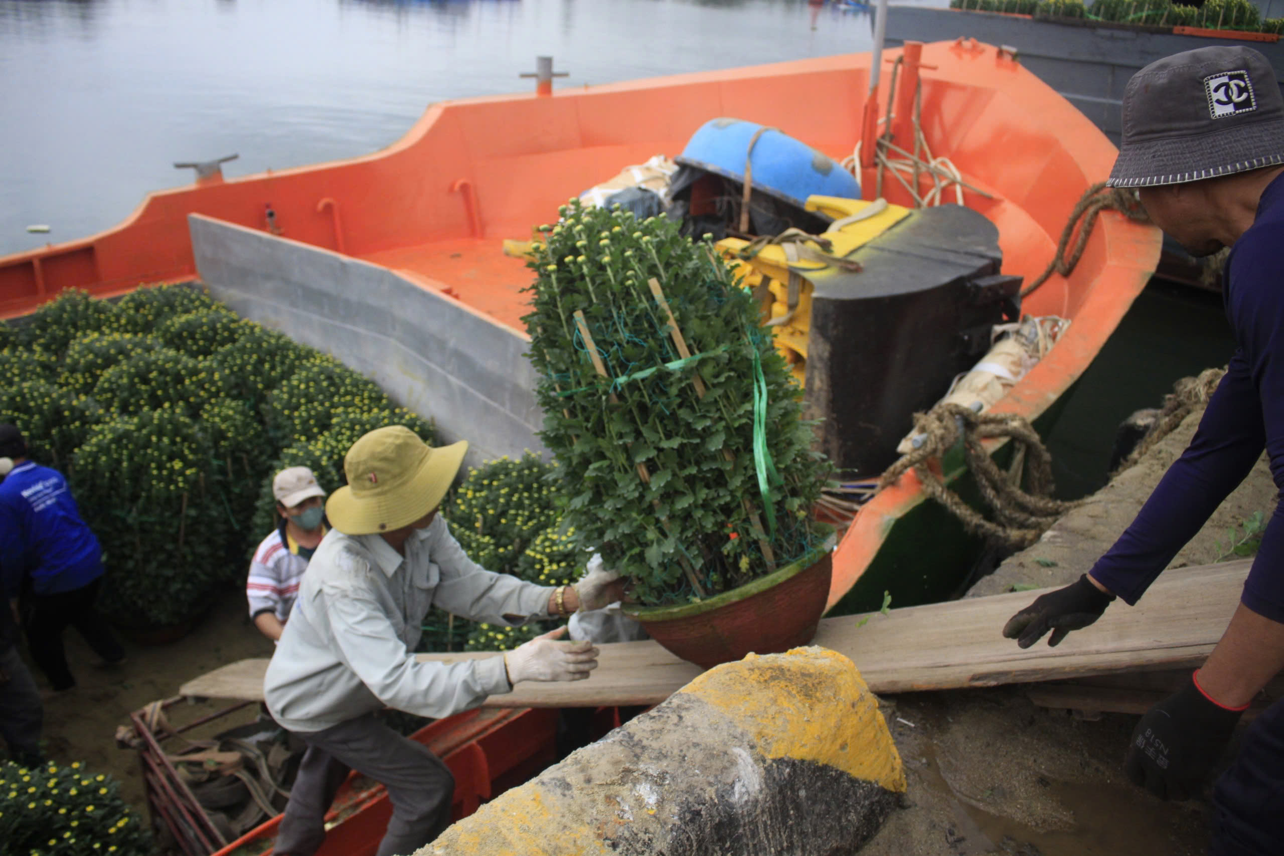 Quảng Ngãi: Chở Tết ra Lý Sơn