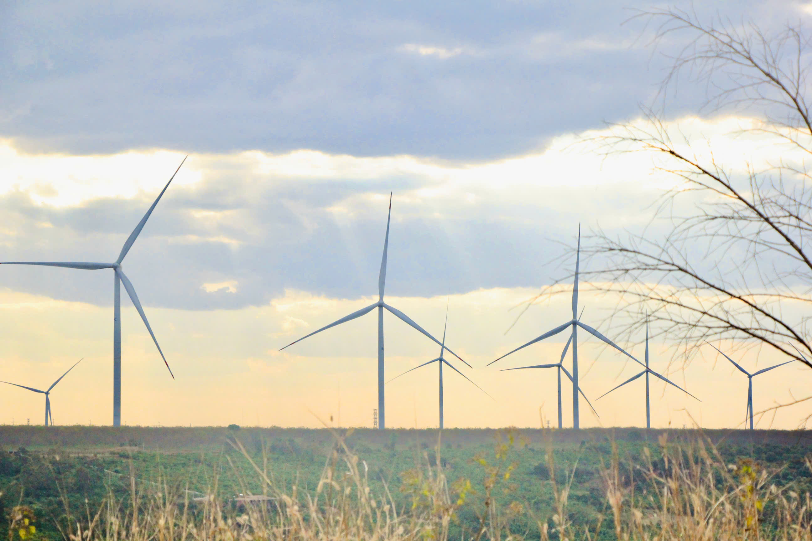 Gia Lai sẽ có thêm loạt dự án điện gió nghìn tỷ đồng 