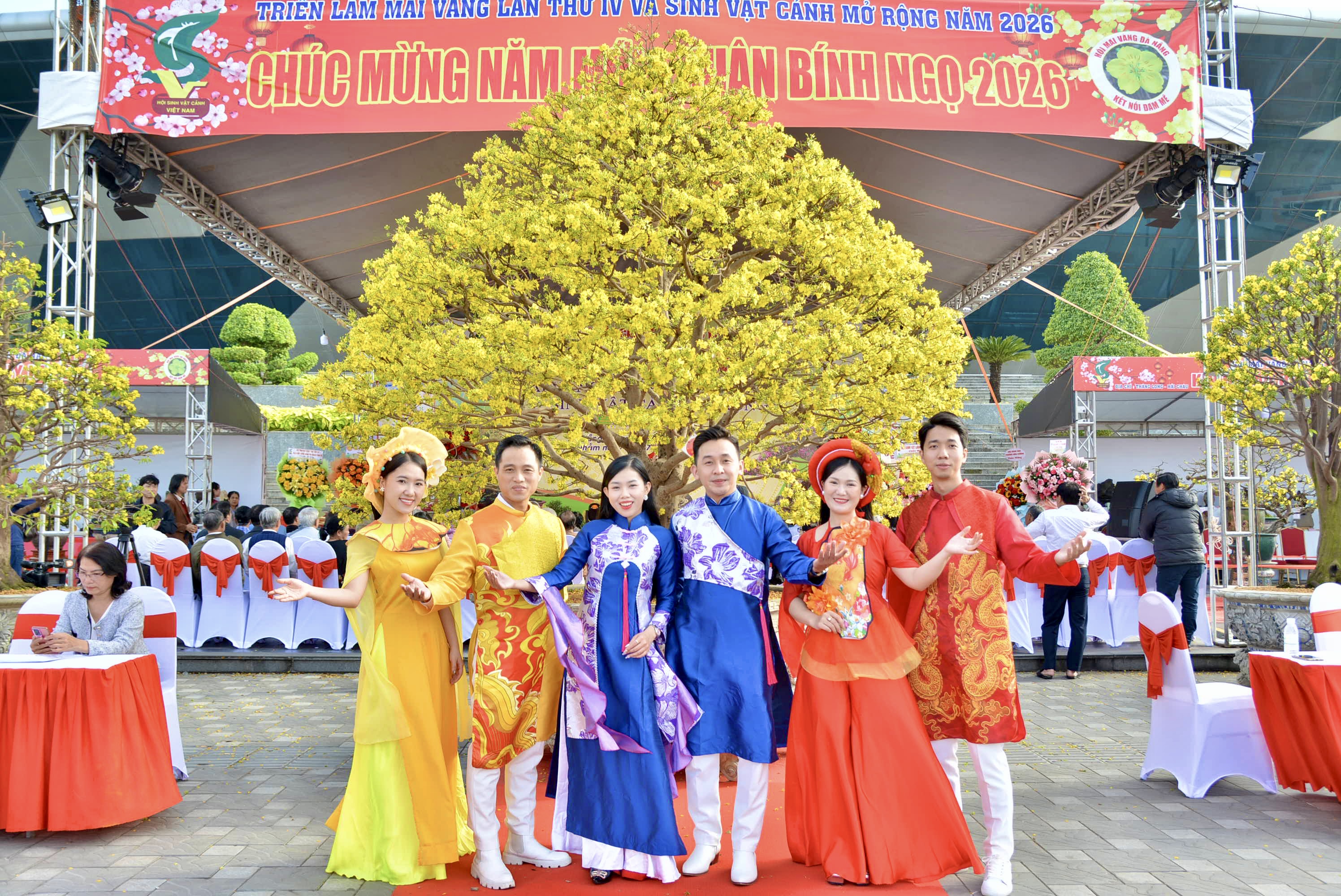 Đà Nẵng: Mai vàng, sinh vật cảnh bừng sắc xuân