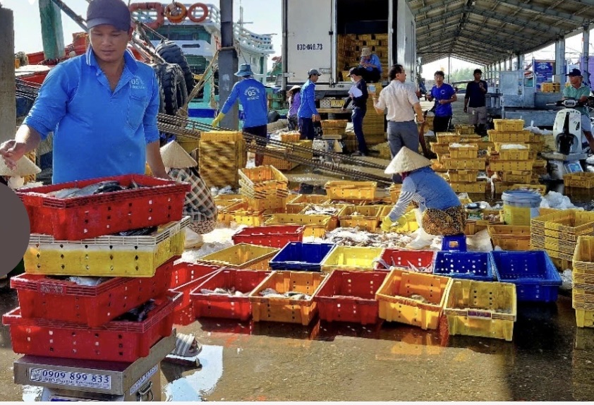 Ven biển Cần Thơ rộn ràng đón Tết, sinh kế biển thêm khởi sắc