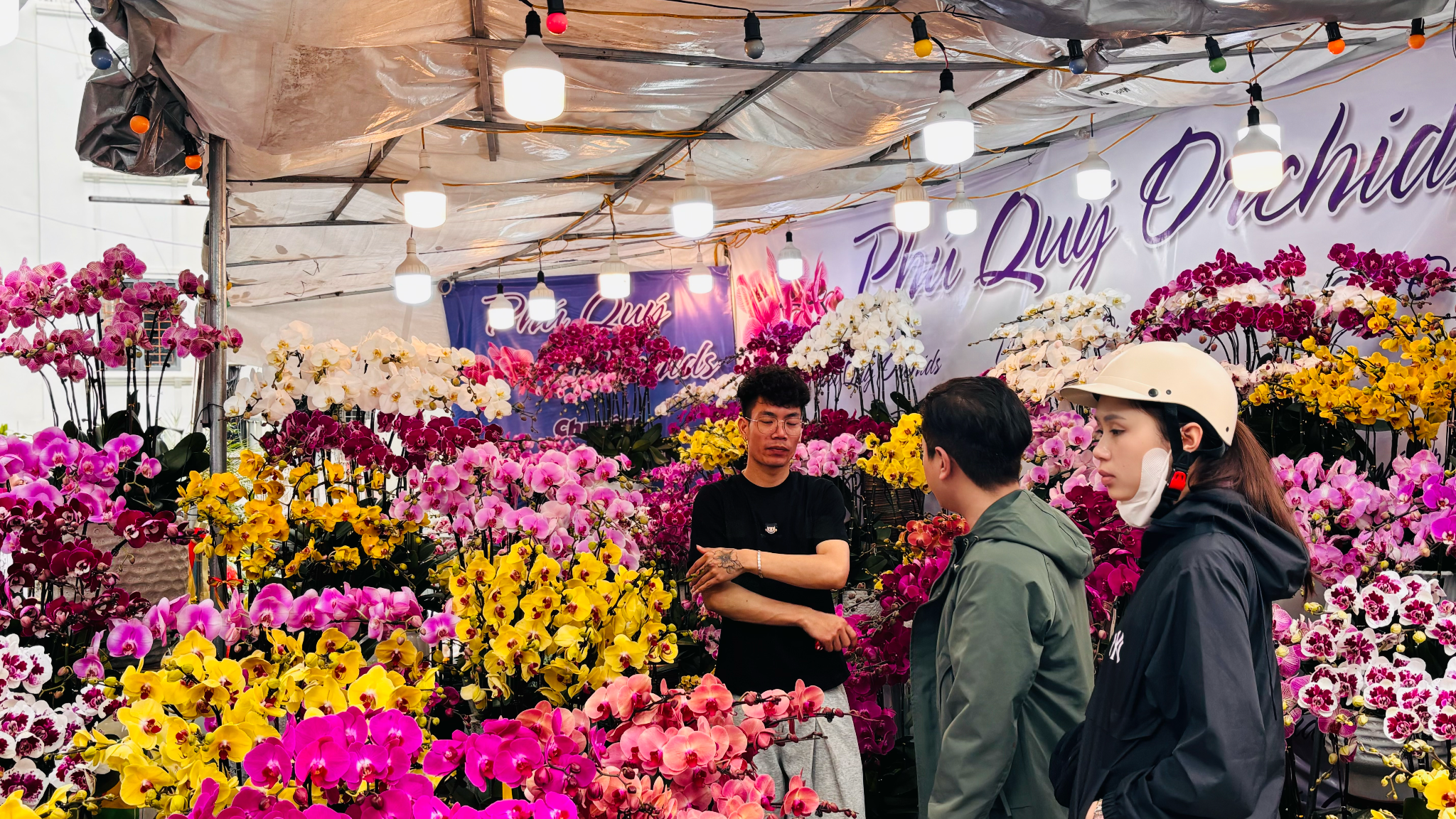 Thị trường hoa lan tại Hà Nội sôi động trước thềm tết Bính Ngọ 2026