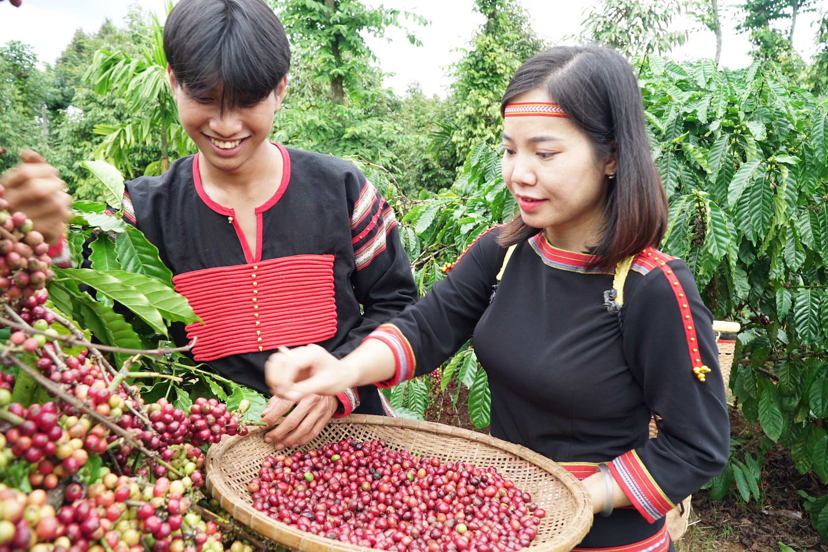 Đắk Lắk - điểm đến mới của Fine Robusta toàn cầu