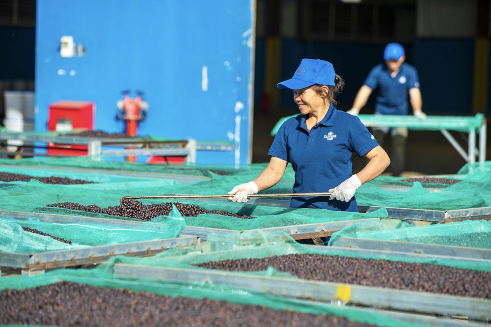 Doanh nghiệp Gia Lai vào guồng sản xuất đầu năm