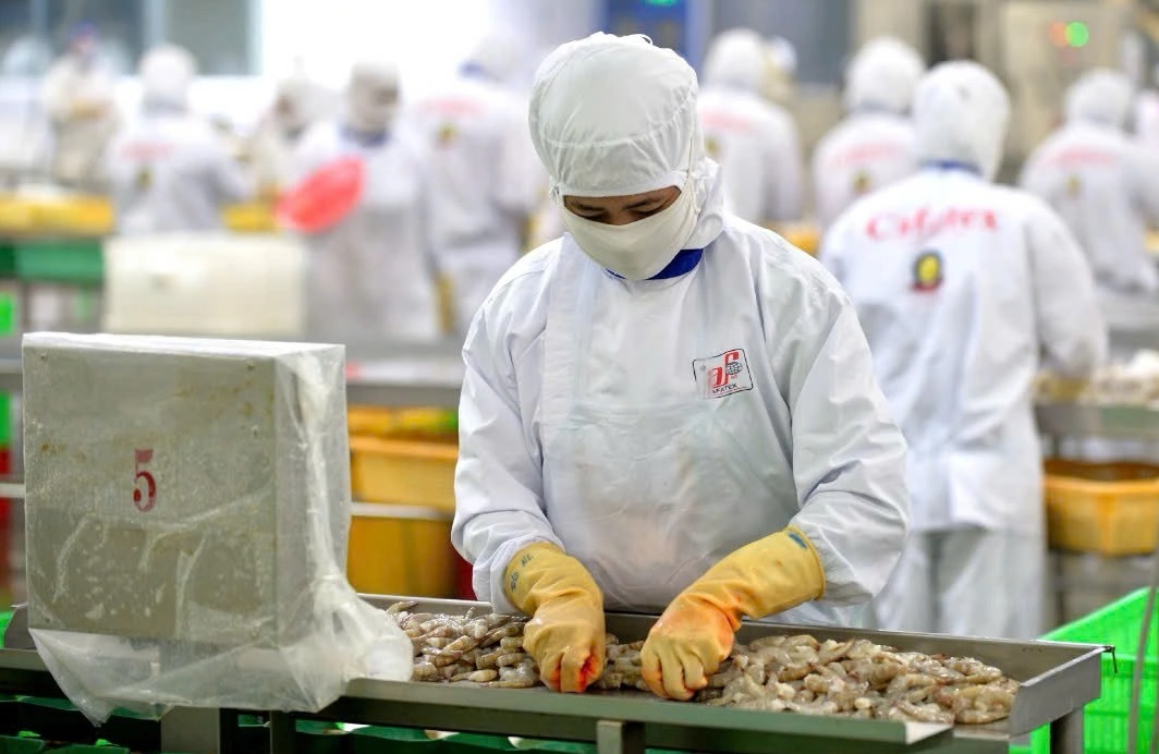 EU số hóa chứng nhận khai thác: Doanh nghiệp thủy sản cần lưu ý gì?