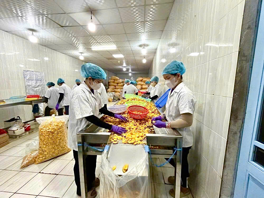 Đồng Tháp: Doanh nghiệp xuất khẩu tăng tốc sản xuất ngay sau Tết