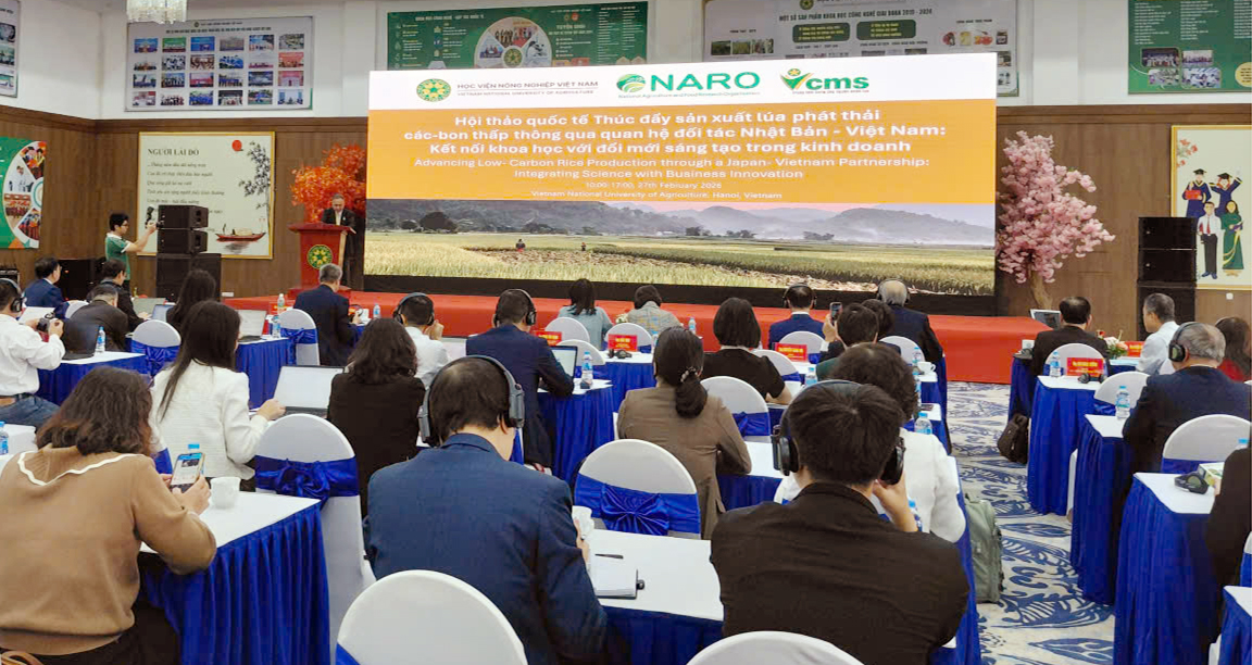 Nhật Bản - Việt Nam: Thúc đẩy hợp tác phát triển lúa phát thải thấp
