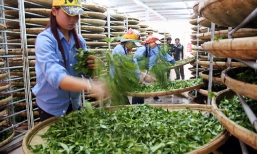 Xuất khẩu hàng hóa Việt Nam sang Pakistan tăng 19% 