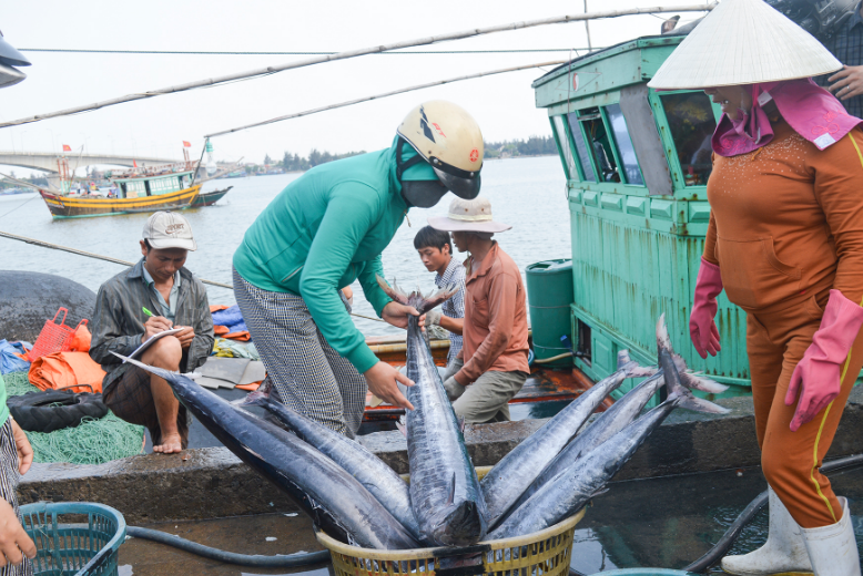 Gỡ bằng được 'thẻ vàng' IUU và phát triển ngành thủy sản bền vững