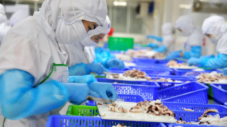 Tháo gỡ rào cản xuất khẩu thủy sản sang Hoa Kỳ