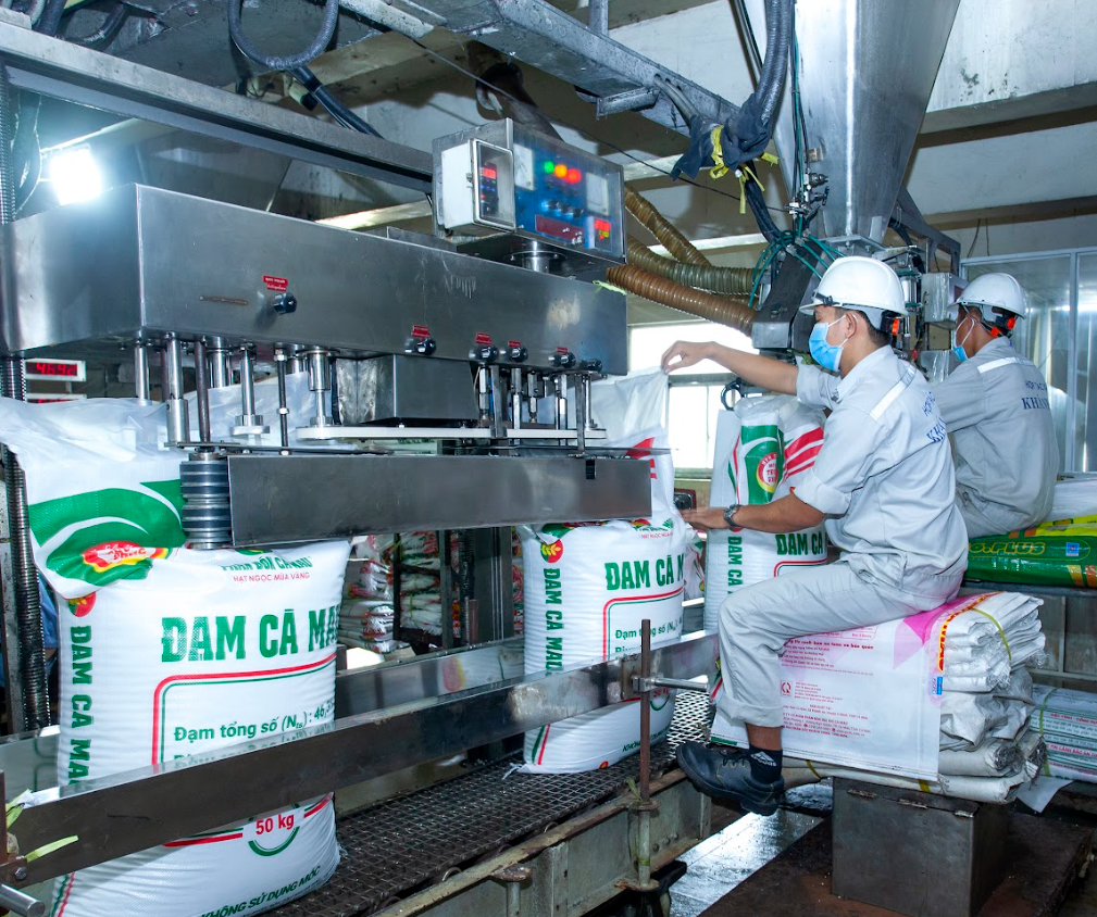 Thị trường biến động, người trồng lúa đối mặt áp lực kép