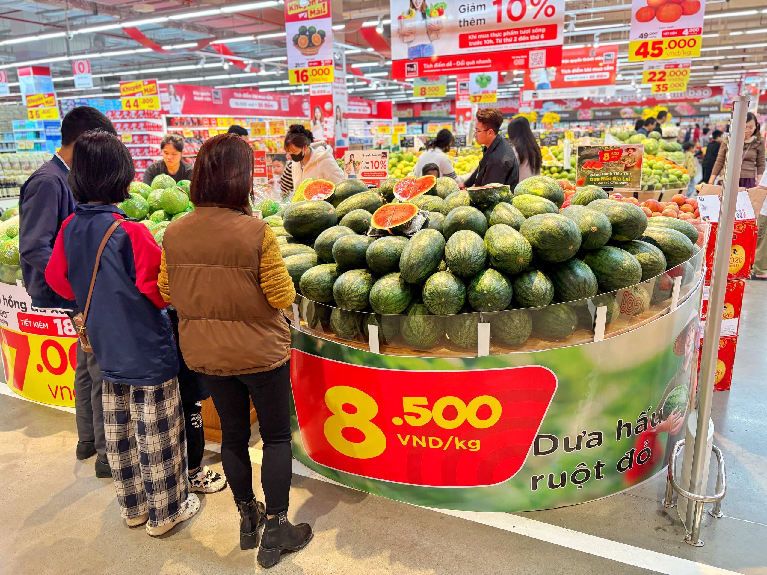 Loạt doanh nghiệp bán lẻ vào cuộc 'giải cứu' dưa hấu Gia Lai