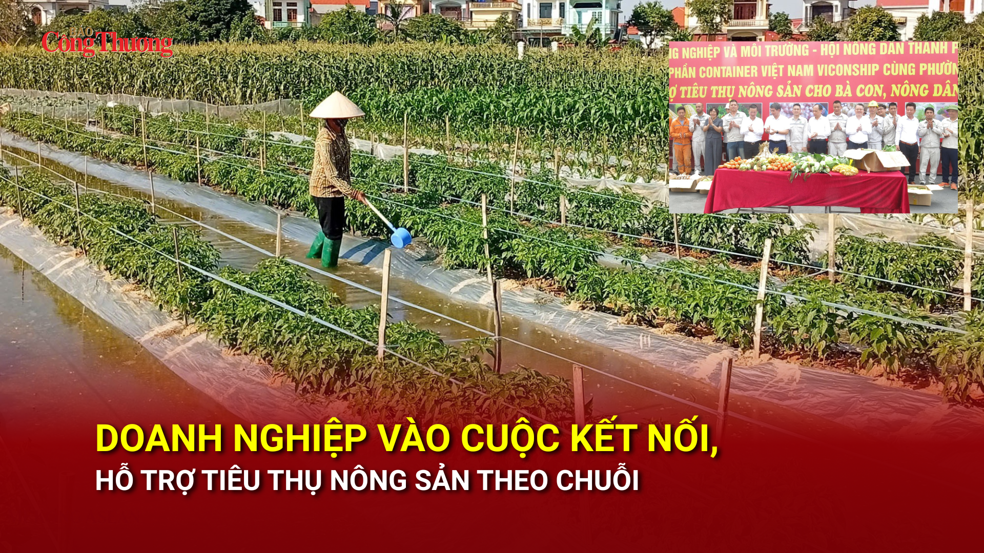 Doanh nghiệp vào cuộc kết nối, hỗ trợ tiêu thụ nông sản theo chuỗi