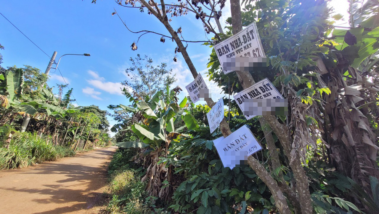 Đắk Lắk chuẩn hoá đội ngũ môi giới bất động sản
