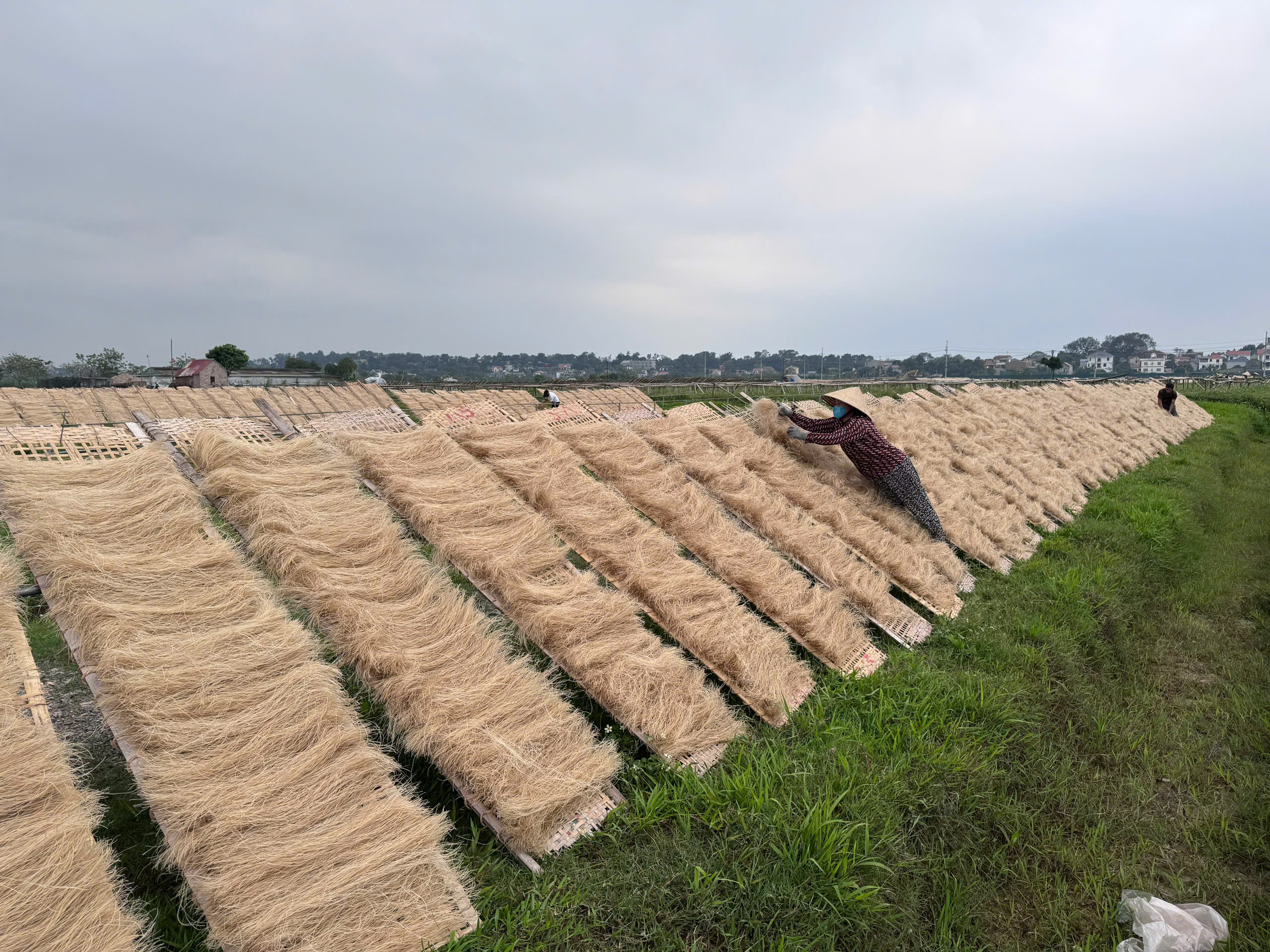 Chủ động đổi mới, đưa sản phẩm OCOP miến làng So vươn ra thị trường lớn