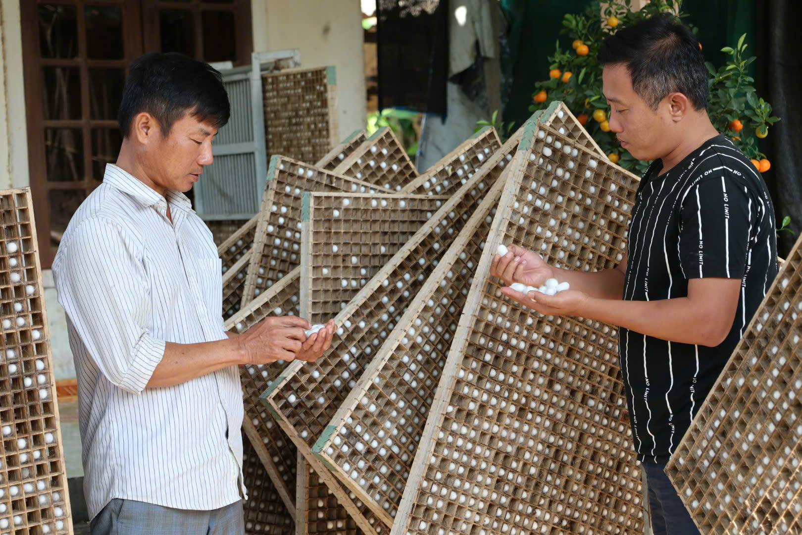 Quảng Ngãi: Người trẻ biến nghề truyền thống thành nghề ‘hái’ ra tiền