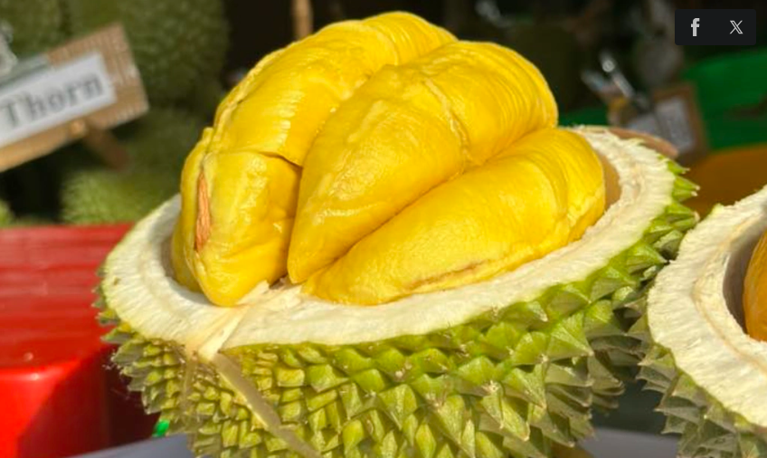 Xuất khẩu sầu riêng sang Trung Quốc tăng trưởng mạnh