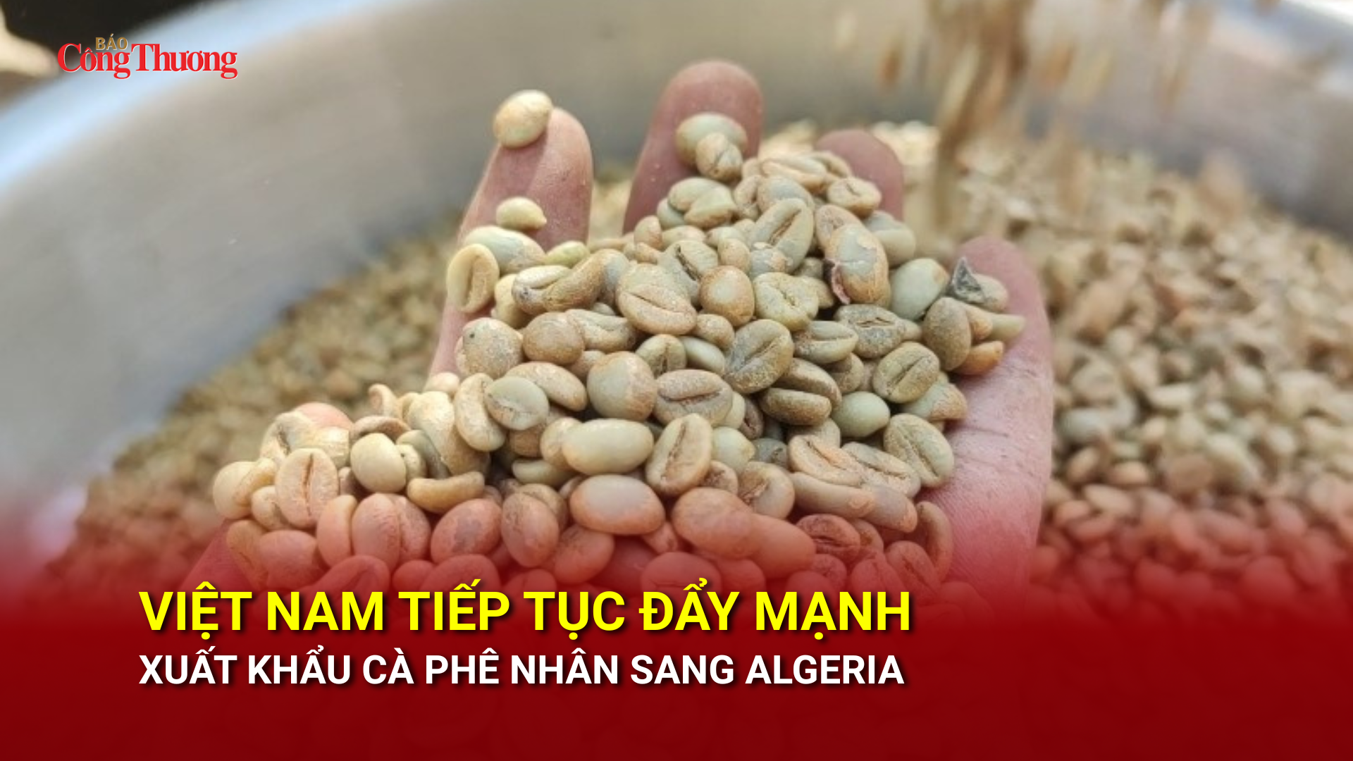 Việt Nam tiếp tục đẩy mạnh xuất khẩu cà phê nhân sang Algeria