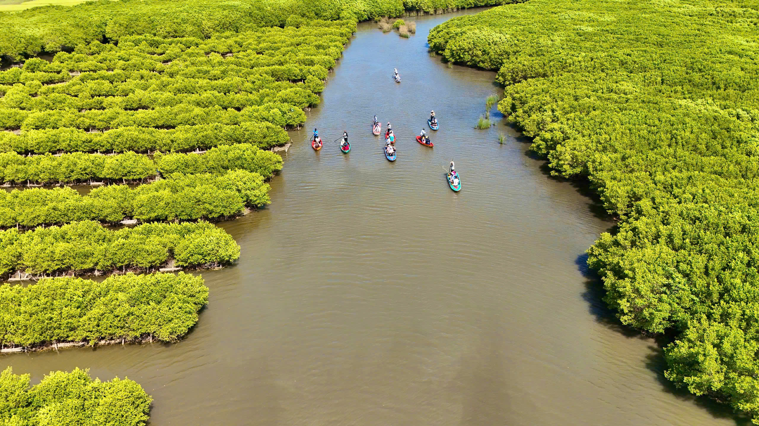 Quảng Ngãi: Đánh thức tiềm năng du lịch sinh thái Bàu Cá Cái
