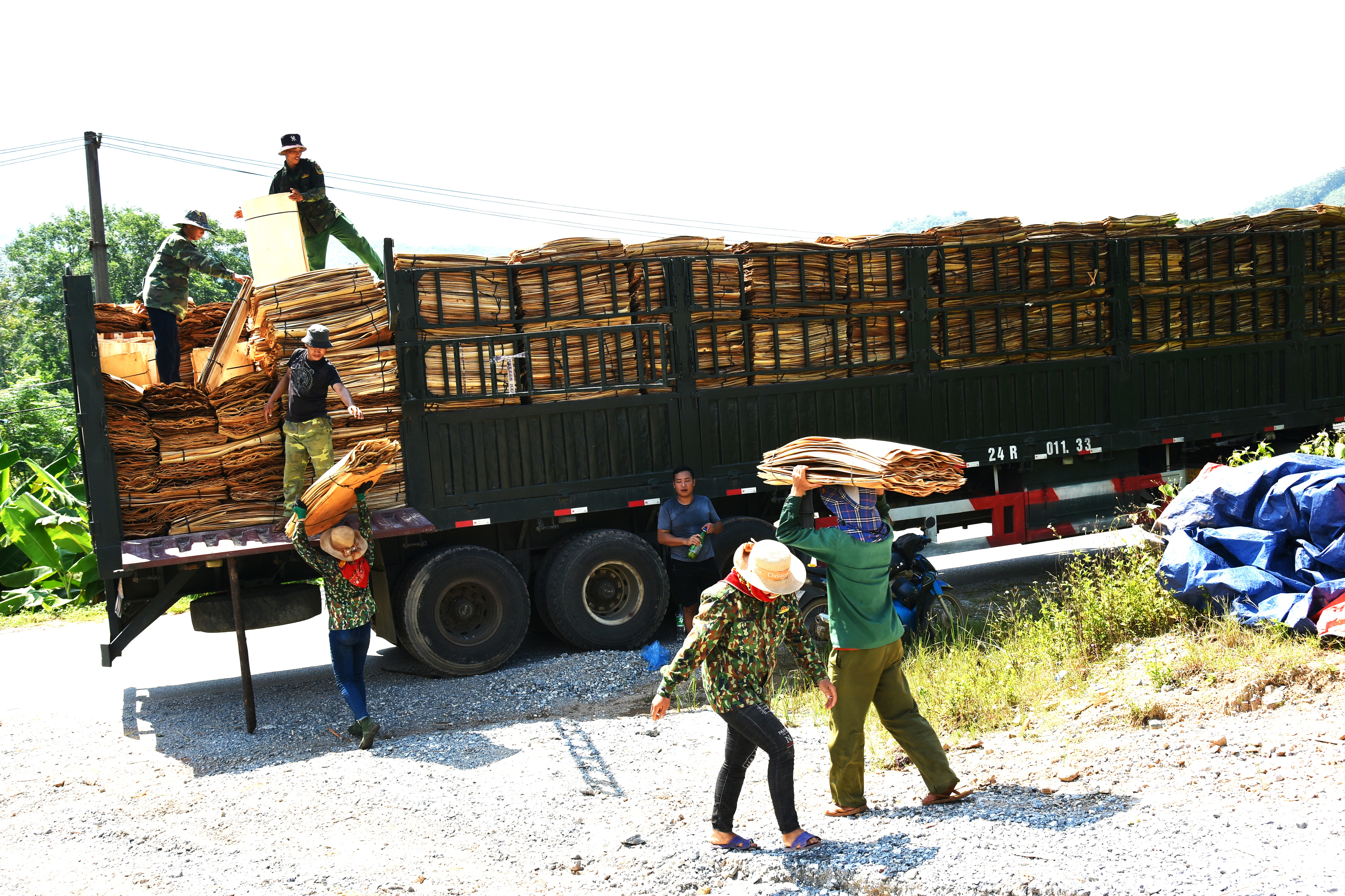 Những chuyến hàng gỗ dăm tại xã Quang Bình chuẩn bị cho xuất khẩu.