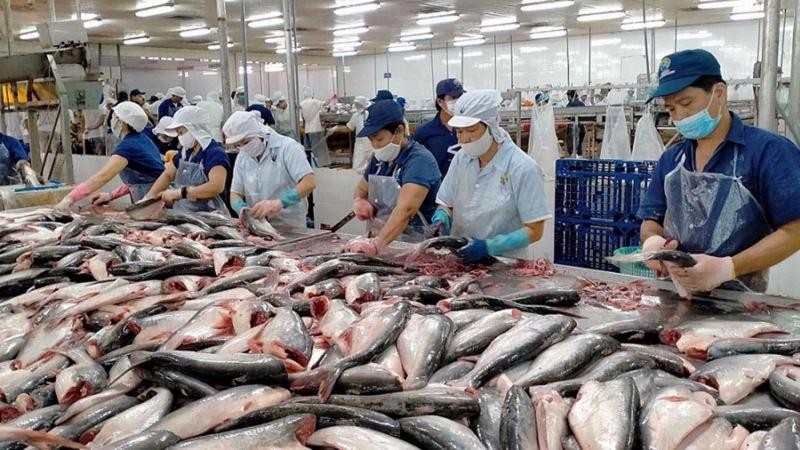 Việt Nam chi hơn 753 triệu USD nhập khẩu thủy sản quý I/2026