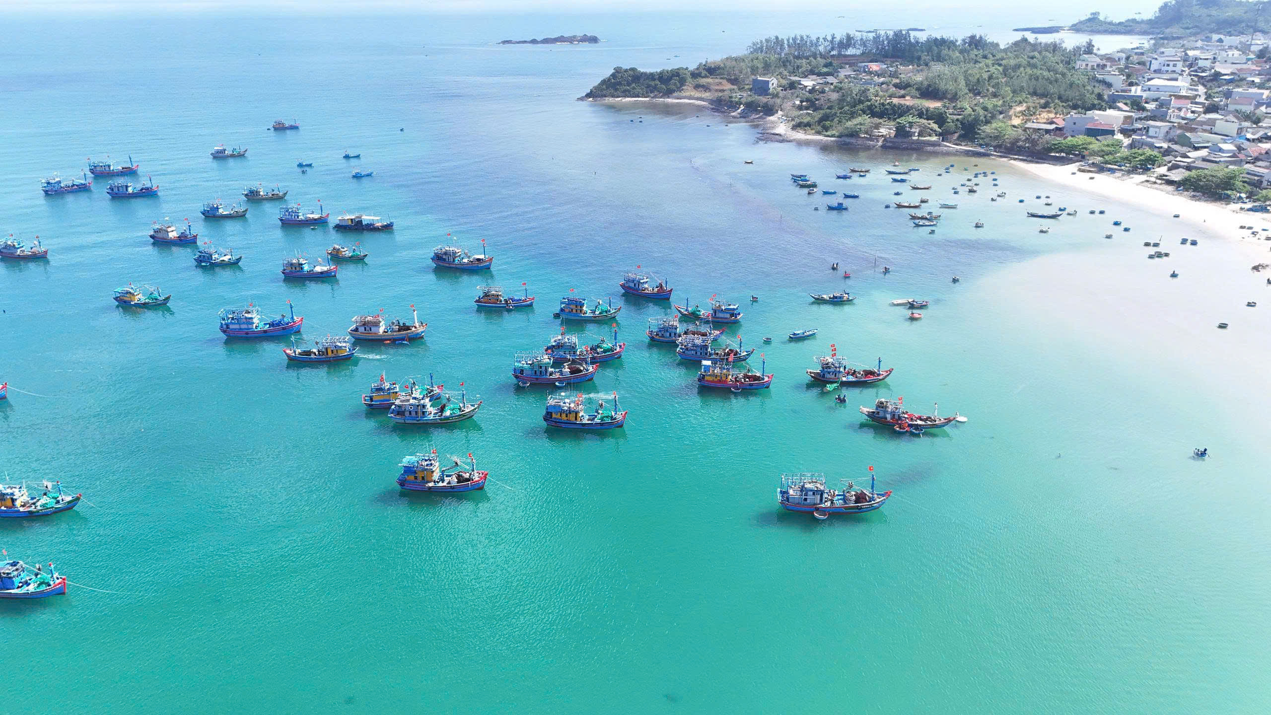 Quảng Ngãi: Tái cấu trúc, định hình lại ngành thủy sản 