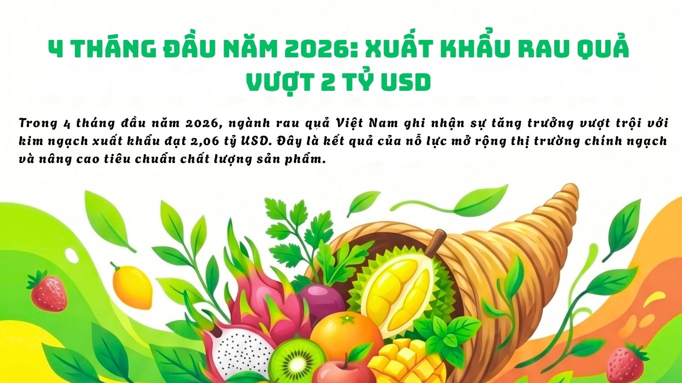 Infographic | 4 tháng năm 2026: Xuất khẩu rau quả vượt 2 tỷ USD
