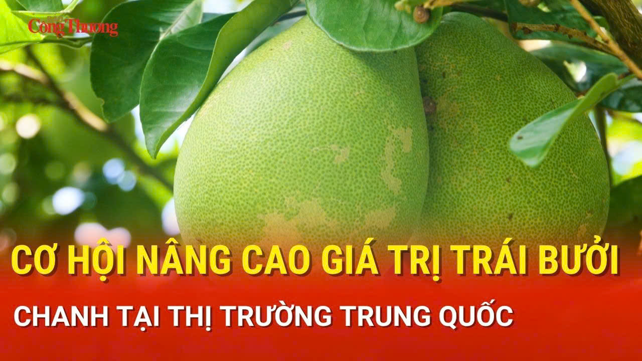 Cơ hội nâng cao giá trị trái bưởi, chanh tại thị trường Trung Quốc