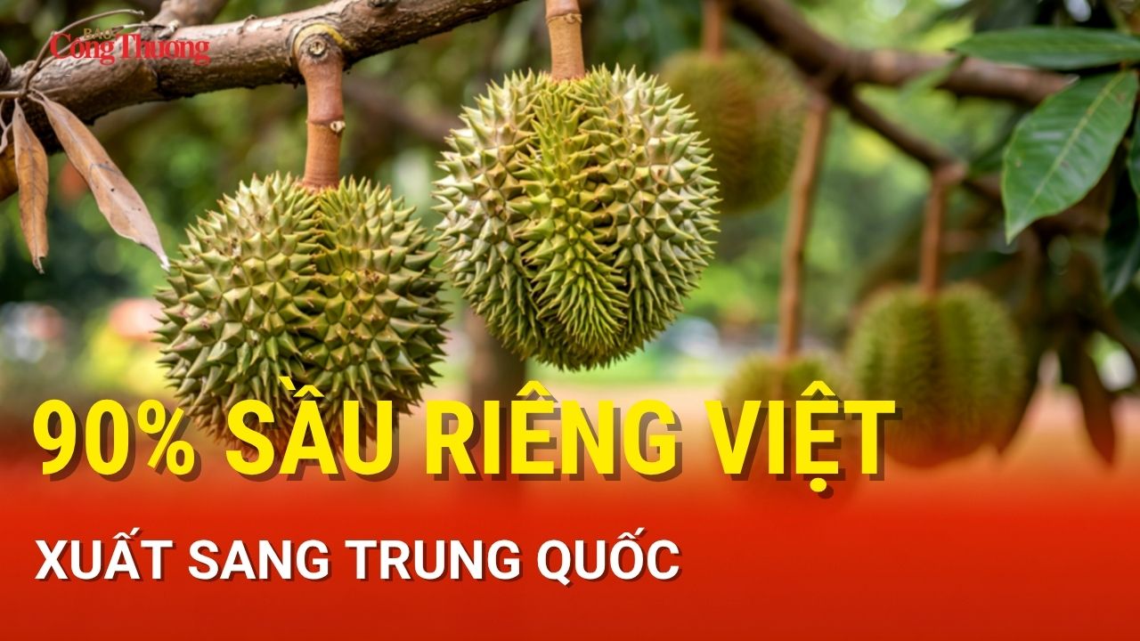 90% sầu riêng Việt xuất sang Trung Quốc
