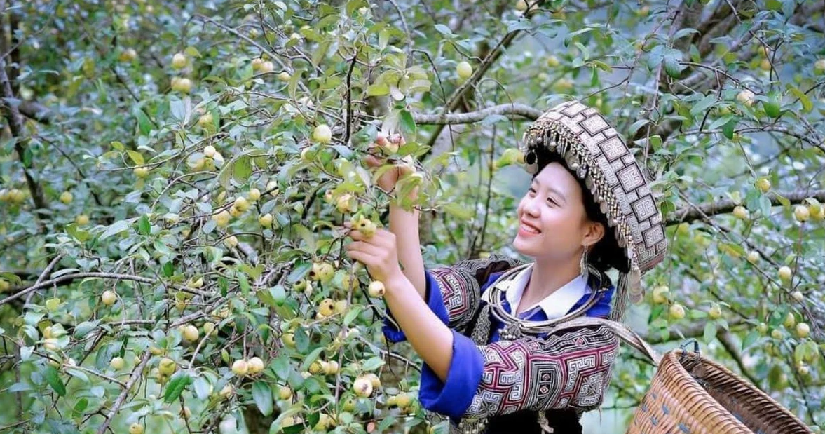 Tư duy mới đánh thức giá trị nông sản vùng cao Trạm Tấu