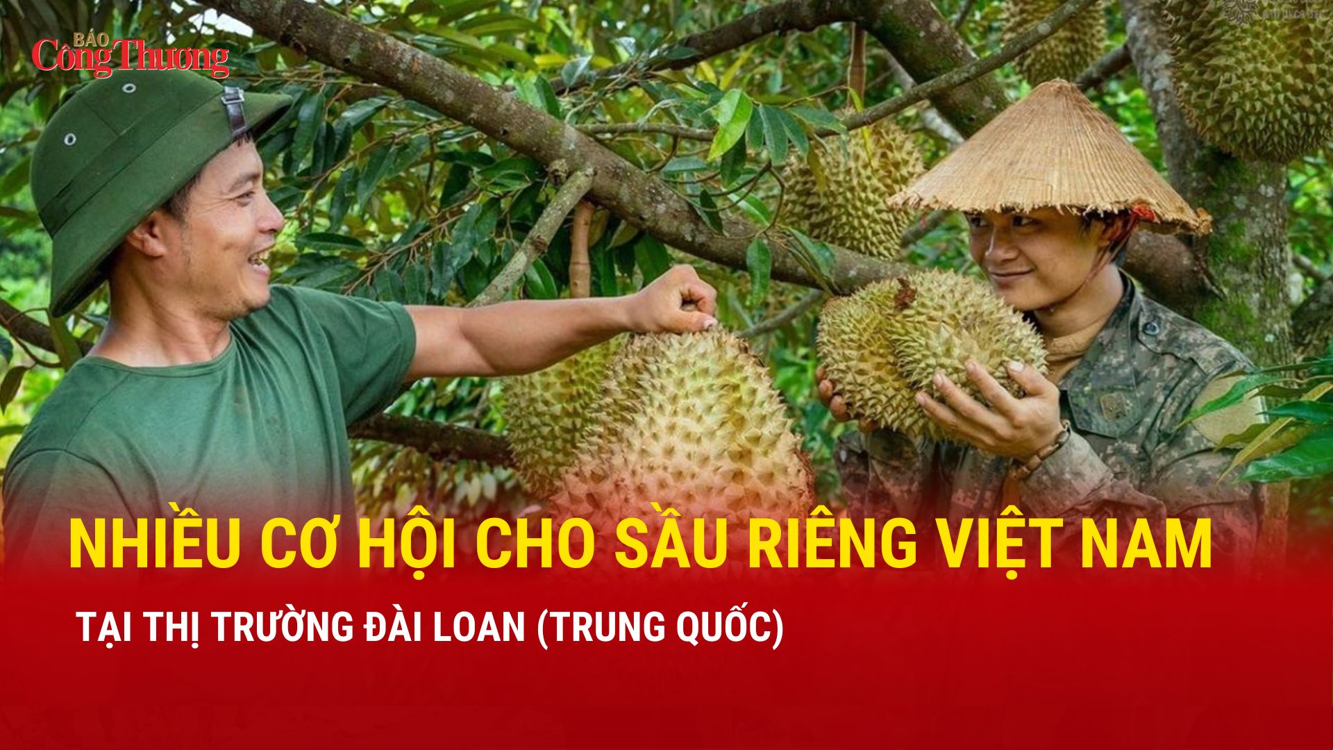 Nhiều cơ hội cho sầu riêng Việt Nam tại thị trường Đài Loan (Trung Quốc)