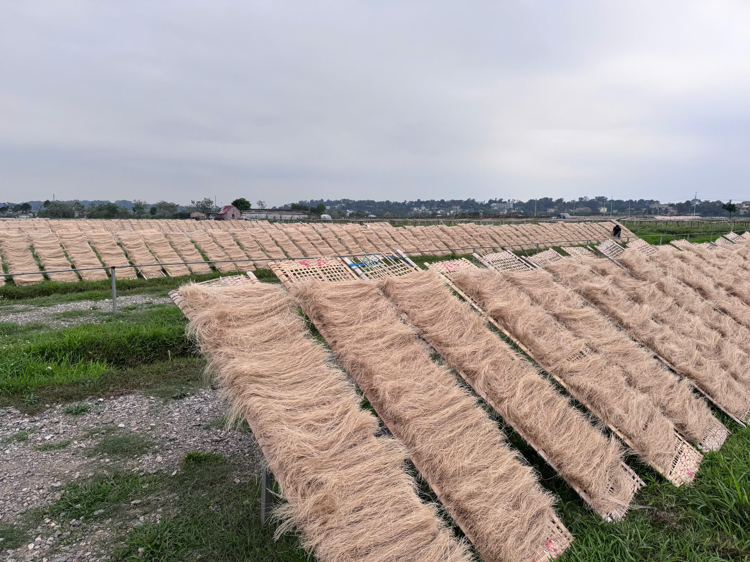 Miến làng So: Mở cánh cửa giao thương từ nghề truyền thống