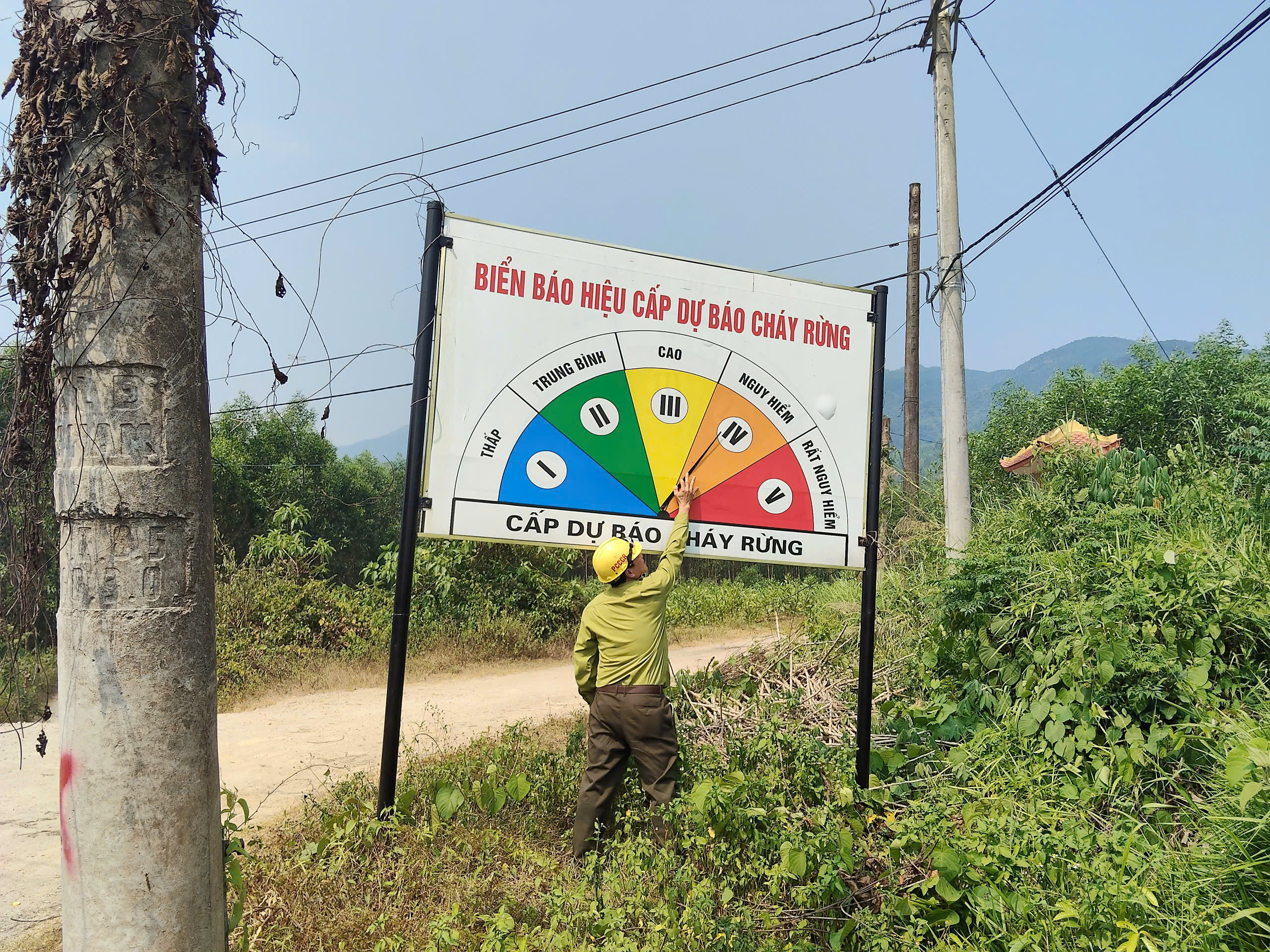 Đà Nẵng tăng cường giải pháp bảo vệ rừng trước nguy cơ cháy cao