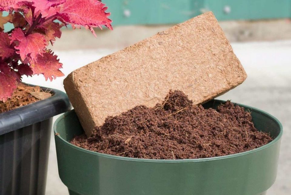 Khai mở giá trị mới cho nông sản Việt từ phụ phẩm nông nghiệp