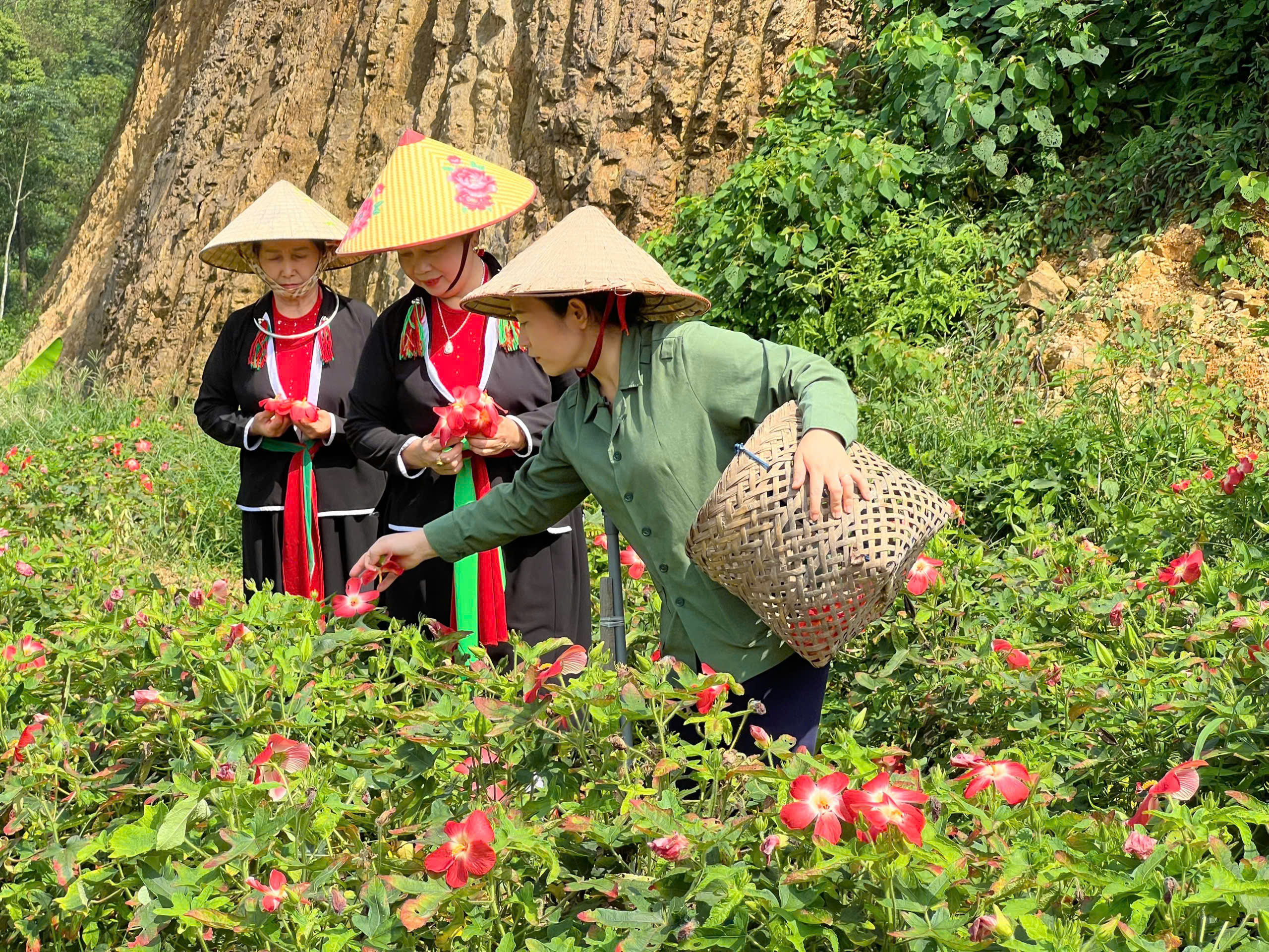 Đưa đặc sản địa phương lên nền tảng số, mở lối thị trường mới