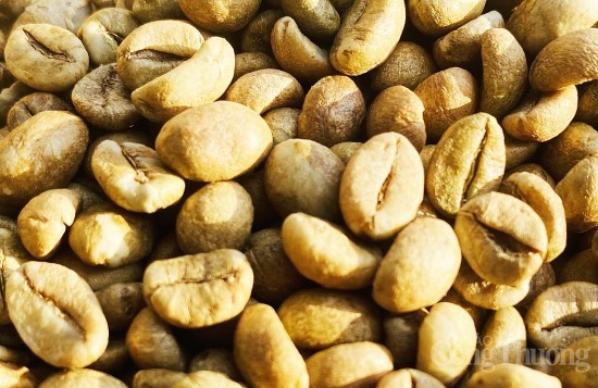 Giá cà phê trong nước mất mốc 90.000 đồng/kg, xuất khẩu chịu áp lực 