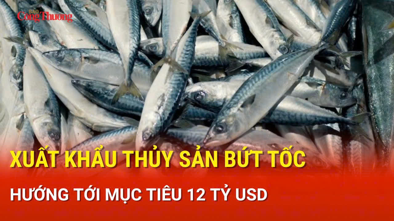 Xuất khẩu thủy sản bứt tốc, hướng tới mục tiêu 12 tỷ USD