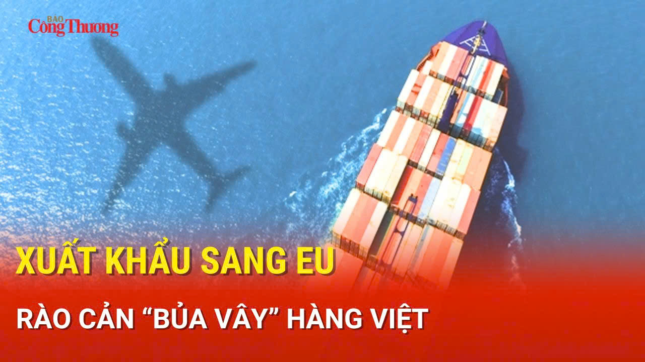 Xuất khẩu sang EU: Rào cản 'bủa vây' hàng Việt
