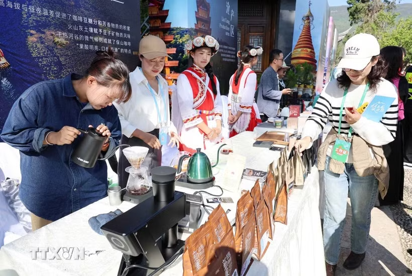 Hợp tác cà phê Việt - Trung: Cơ hội nâng tầm thương hiệu quốc gia